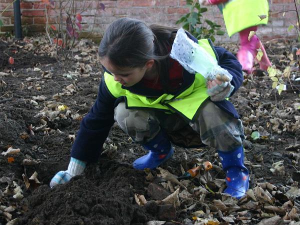planting5.jpg