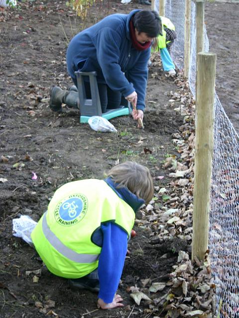 planting6.jpg