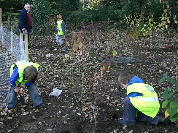 planting8.jpg