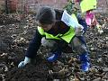 planting5