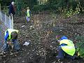 planting8