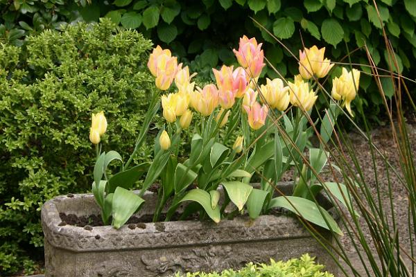 gardens8.jpg