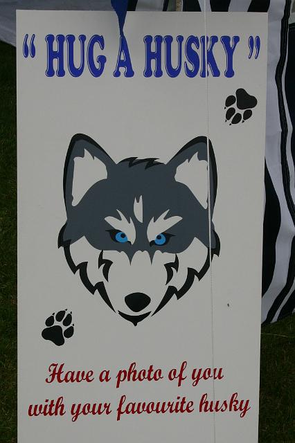 huskies1.jpg