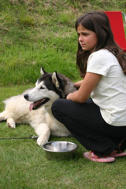 huskies3.jpg