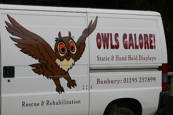 owls1.jpg