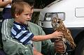 owls3