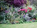 garden10