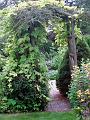 garden5