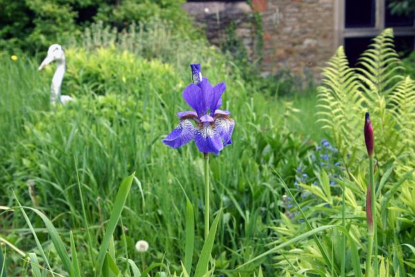 gardens12.jpg