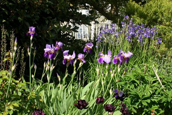 gardens3.jpg