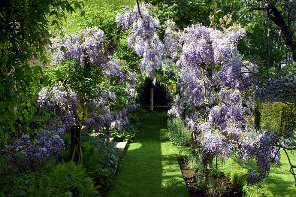 gardens5.jpg