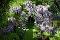 gardens5