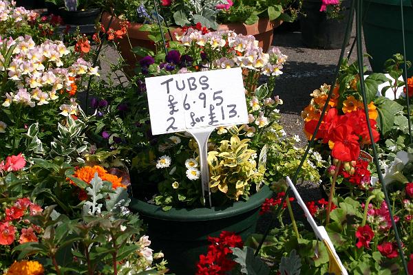 plantfair1.jpg