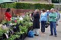 plantfair3