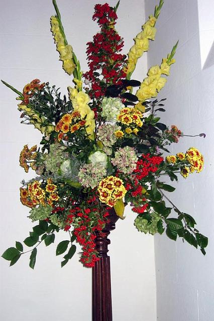 harvest6.jpg