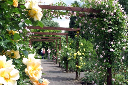 gardens10.jpg