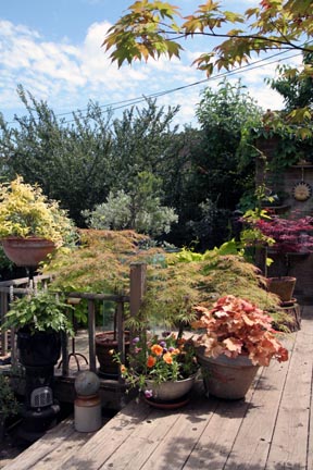 gardens3.jpg