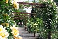 gardens10