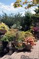 gardens3