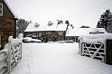 snow6Jan10