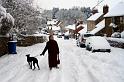 snowy2