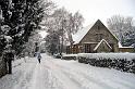 snowy3