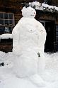 snowy4