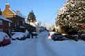 snowy7