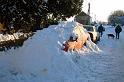 snowy8