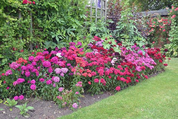 garden12.jpg