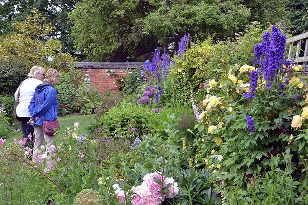 garden13.jpg