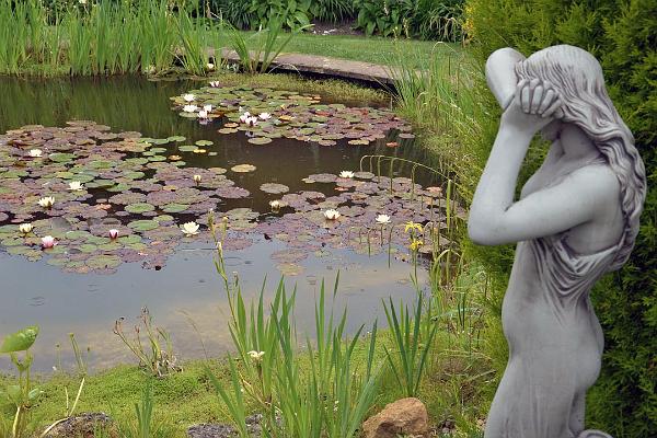 garden15.jpg