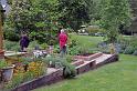 garden3