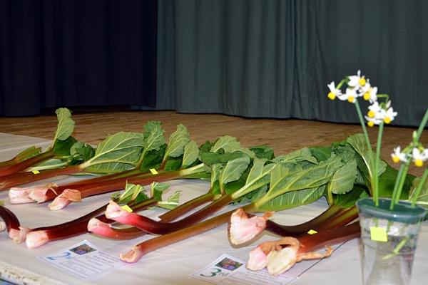show5.jpg