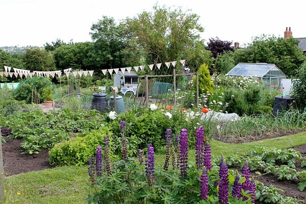 Allotments.JPG