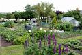 Allotments