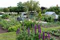 Allotments