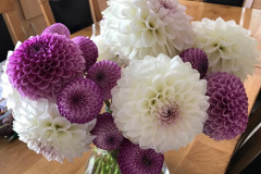 Daphne Preston:- Dahlias in a Vase