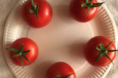 Richard Preston: Five Tomatoes - Meccano