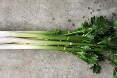 Richard Preston: Starburst Celery