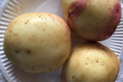 Richard Preston:Three Potatoes - Bonnie