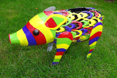 Stuart Cummins: Psychedelic PIggy