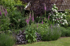 middleaston14