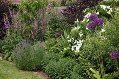 middleaston15