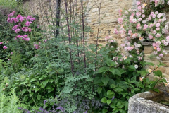 middleaston21