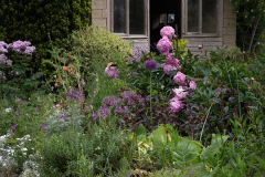 middleaston6