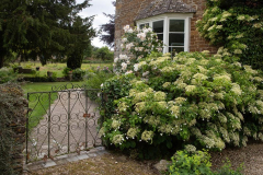 middleaston7