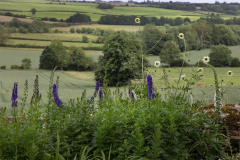 middleaston8