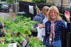 Allotments-Stall-1