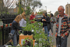 Allotments-Stall-2